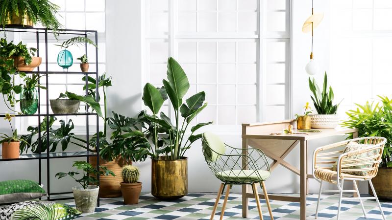 decoration ideas for home